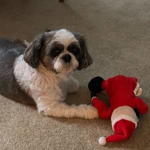 Meet your Posher, Joanne